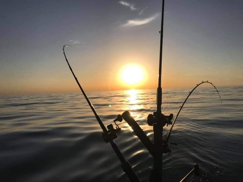 Big Gills Charters-Sport Fishing