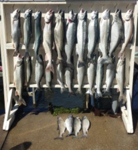 West Michigan Charters-Sport Fishing