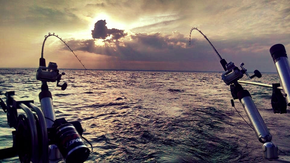 Lured Inn Charters-Sport Fishing