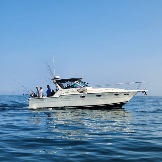 Big Gills Charters-Sport Fishing