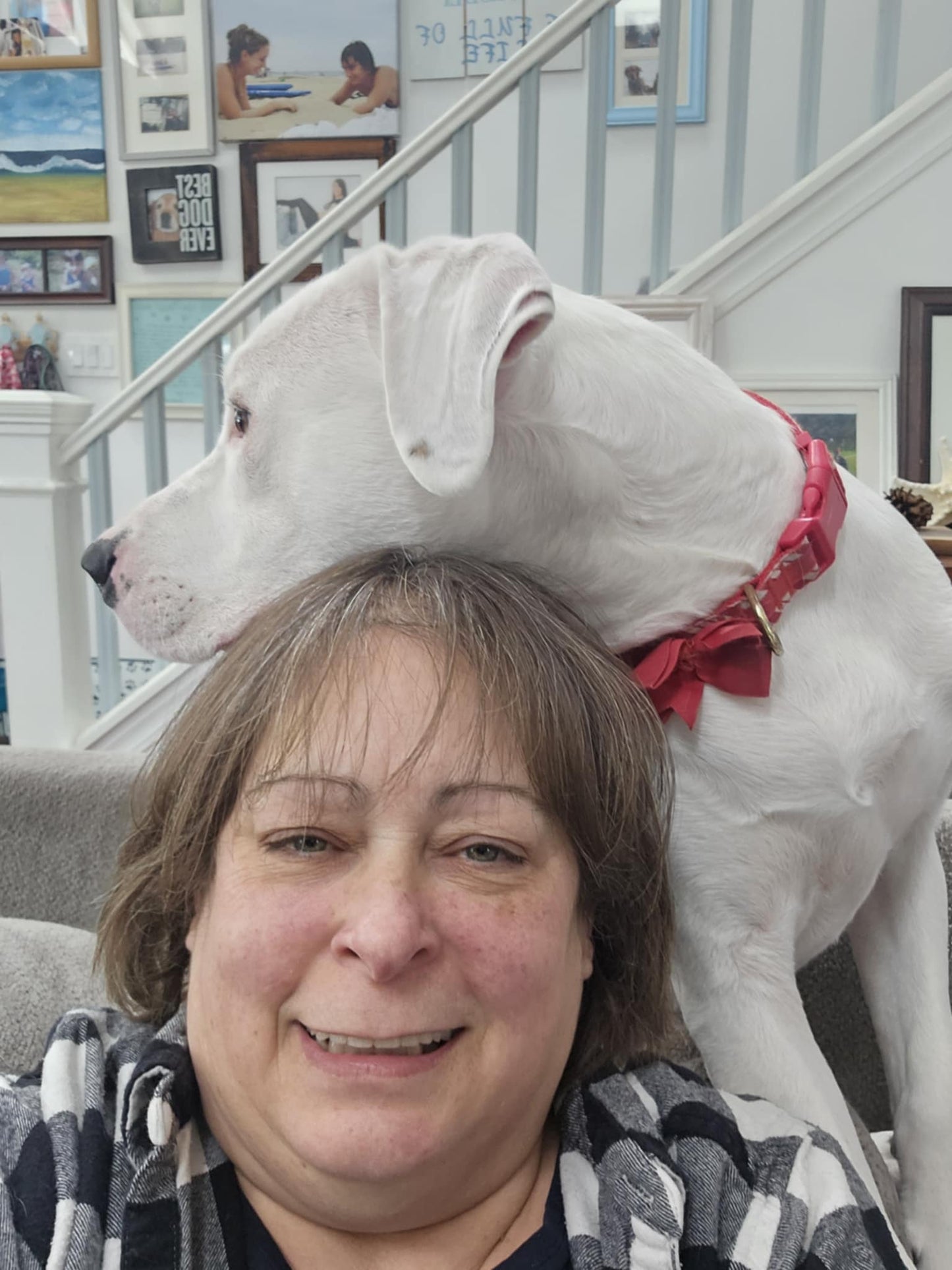 Old Lady w/a Leash - Dog Sitting/Walking Services