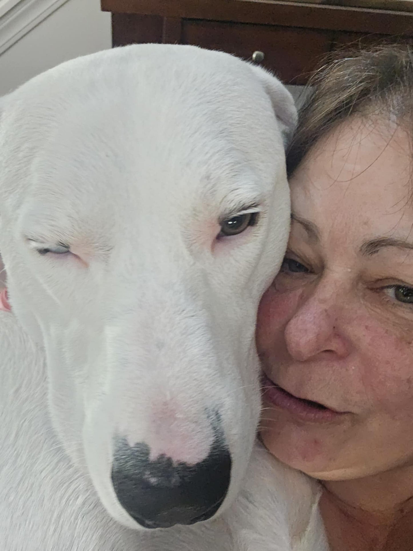 Old Lady w/a Leash - Dog Sitting/Walking Services